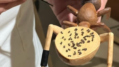 Güney Kore'de Michelin yıldızlı restorana karıncalı tatlı için para cezası