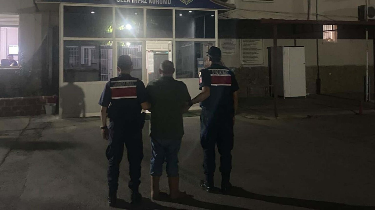 Aydın'da ormanda kenevir yetiştirirken suçüstü yakalandı