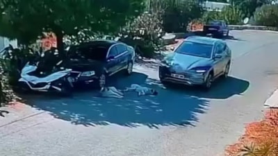 Muğla'da otomobiliyle köpeklerin üzerinden geçti