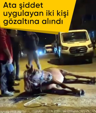 Edirne'de ata şiddet uygulayan iki kişi gözaltında