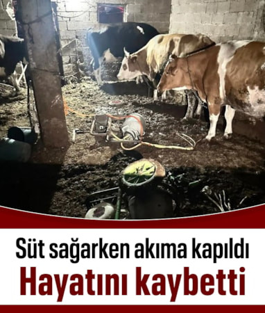 Nevşehir'de süt sağmak isterken akıma kapılan kadın öldü