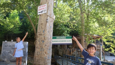 Adana'da mesire alanındaki çöp sorununa 'Çöp atan eşektir' yazılı tabelayla tepki