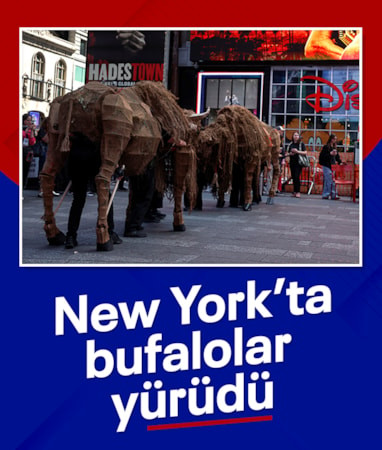 New York'ta 'bufalolar' yürüdü: Kızılderili topluluklarının temsilcileri de yürüyüşe katıldı
