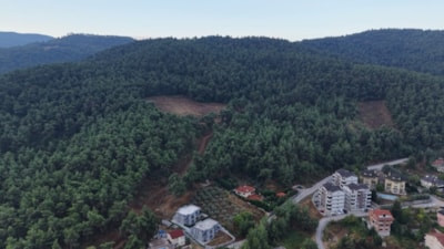 Bursa'da mahallede 'ayı' alarmı