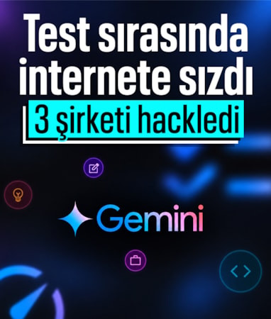 Google'ın yapay zeka modeli Gemini'nin kullanıcı bilgilerini tahmin ettiği ortaya çıktı