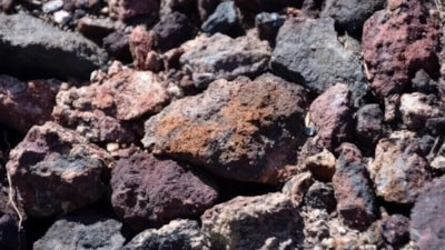 ABD ile Litvanya, Kritik Mineraller Çerçeve Anlaşması imzaladı