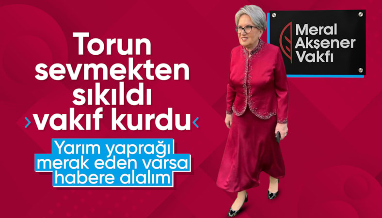 Meral Akşener vakfı kuruldu: Logosundaki yarım yaprak motifi yarım kalmış tutkuları temsil ediyor