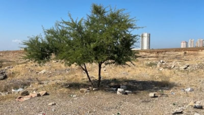 Adana'da boş arazide erkek cesedi bulundu
