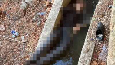 İstanbul'da yaşlı bir adam sulama kanalında ölü bulundu