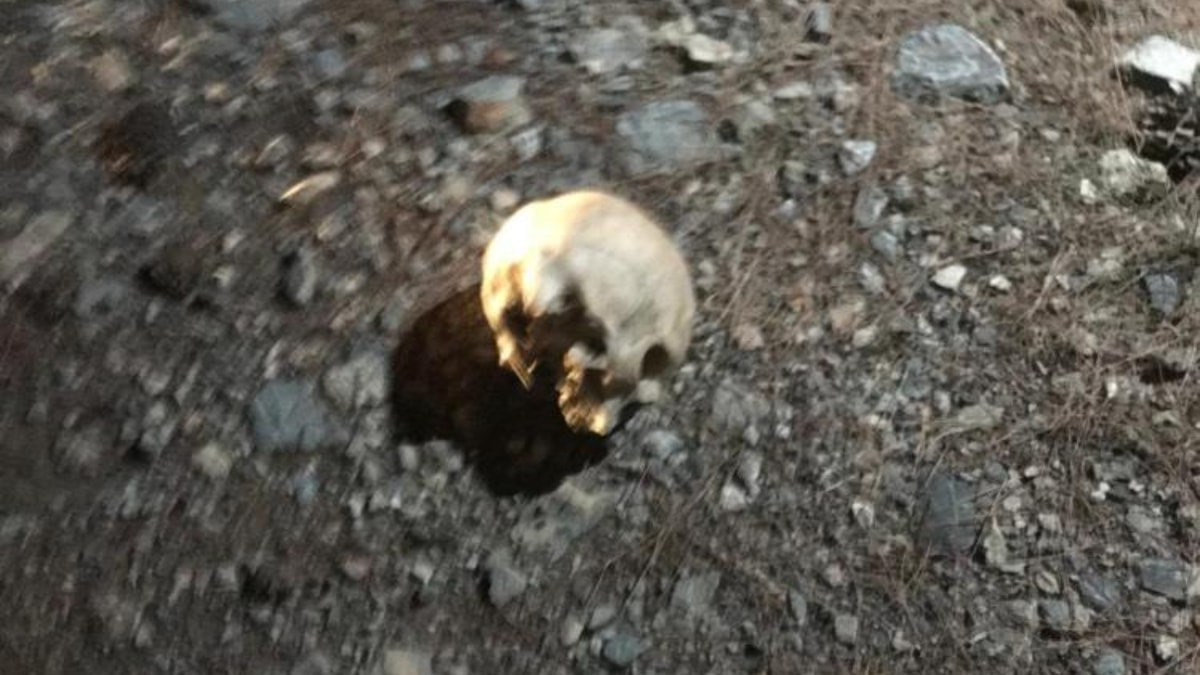 Antalya'da ormanlık alanda kafatası bulundu