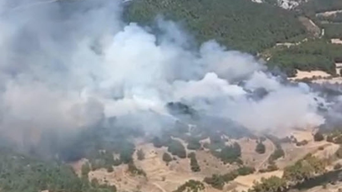 Balıkesir Karesi'de orman yangını