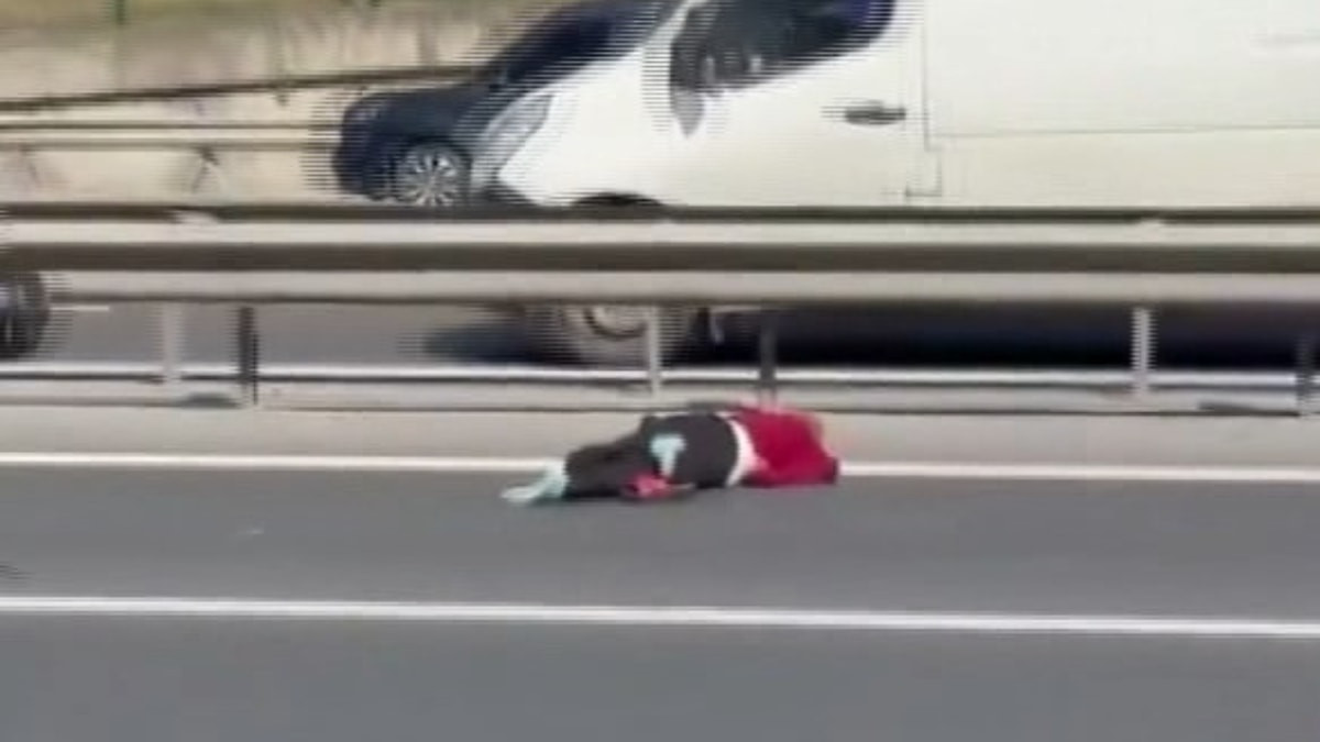 İstanbul'da yolun karşısına geçmeye çalışan kadına servis minibüsü çarptı
