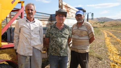 Ankara'da kabak çekirdeği üreticileri hasat döneminde işçi bulamıyor