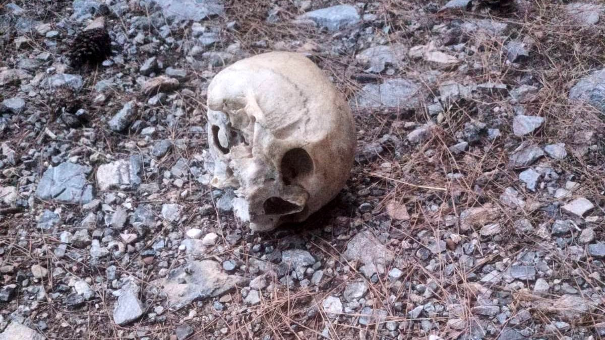 Antalya'da 15 aydır kayıp olan kişinin kimliği ve kıyafetleri ormanda bulundu