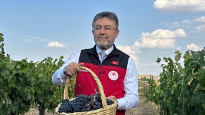 İbrahim Yumaklı: Bu sene 3 milyon 850 bin tonluk bir üzüm üretimi gerçekleşecek