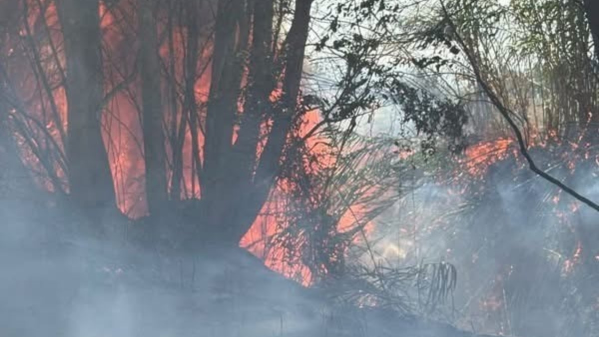 Hatay'da ağaçlık ve otluk alanda yangın çıktı