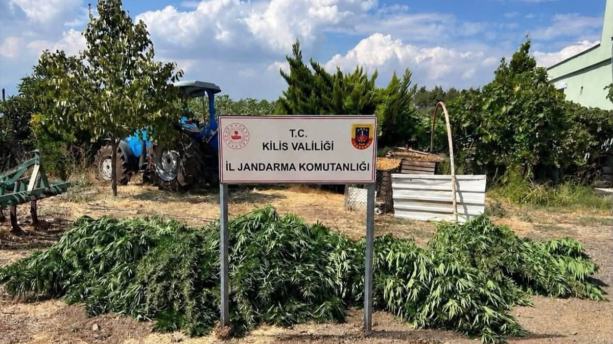 Kilis'te 40,5 kilogram esrar ele geçirildi