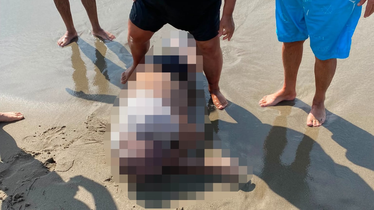 Aydın'dan yattan düşerek kaybolan şahsın cansız bedeni sahilde bulundu