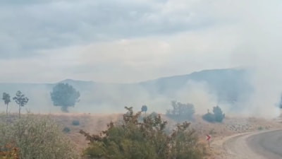 Bolu'da boş arazide çıkan yangın ormanlık alana ulaşmadan söndürüldü