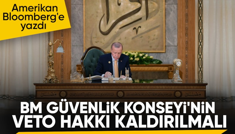 'BM'nin veto imtiyazı kaldırılmalıdır'