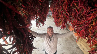 Edirne Karaağaç biberinde kurutma dönemi