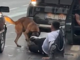 Sakarya'da sabah koşusu yapan vatandaş, sokak köpeğinin saldırısına uğradı
