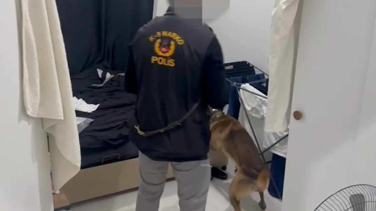 Edirne’de uyuşturucu operasyonu