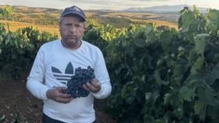 Isparta'da devlet desteğiyle üzüm üretimi büyüyor