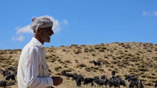 Bursa'dan Muş'a döndü, hayvancılıkla geçimini sağlıyor