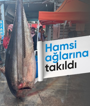 Kütahya balık pazarında dev orkinosa yoğun ilgi