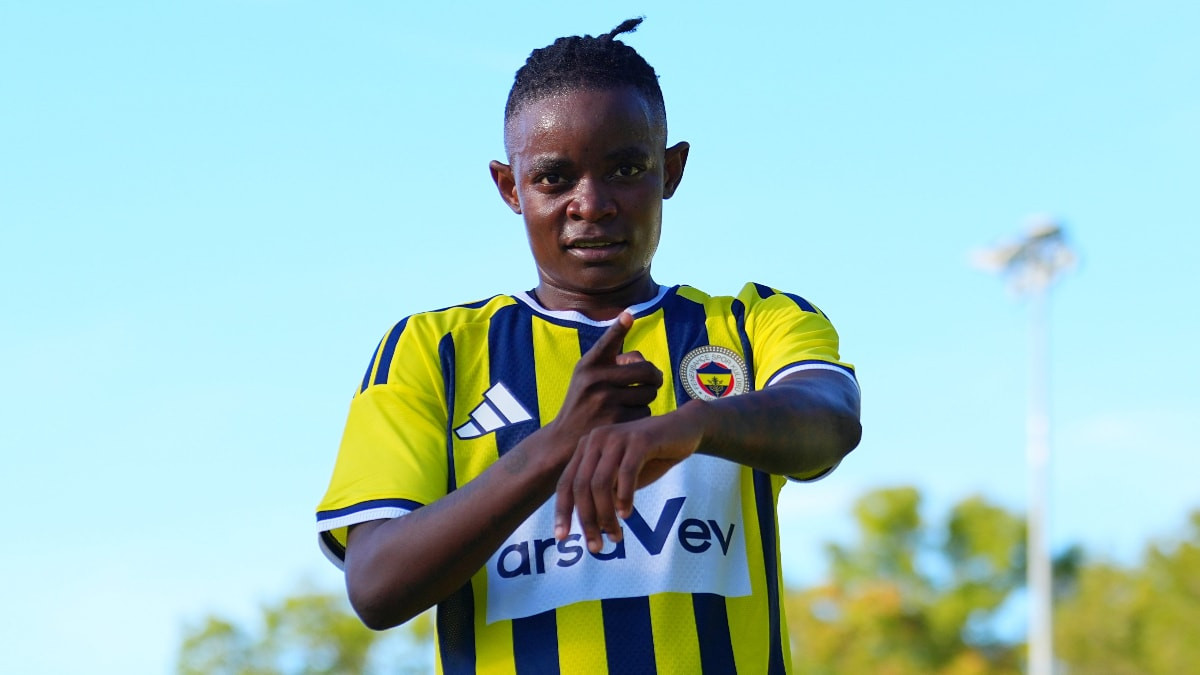 Fenerbahçe, Minsk'e 4 attı