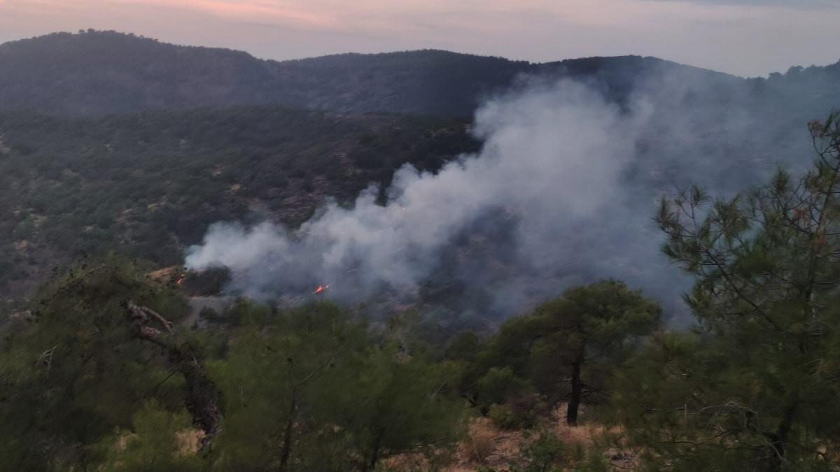 Gaziantep'te orman yangınında 4 dönüm alan zarar düştü