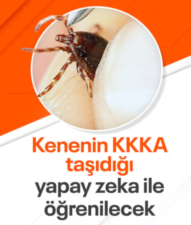 Kene türünü cep telefonu kamerasıyla belirleyecek yapay zeka geliştiriliyor