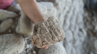 5 bin yıllık küpler bulundu: Yassıtepe'den zenginliğin izleri çıktı