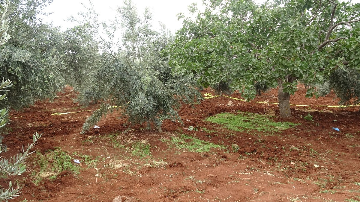 Kilis'te tarlasını sürerken traktörden düşerek yaşamını yitirdi