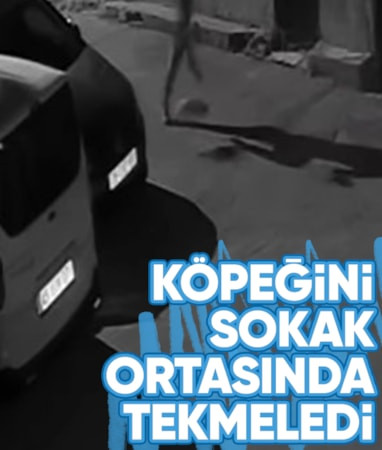 İzmir'de köpeğine tekme atan şüpheli talihsiz hayvanı tasmayla sürükledi