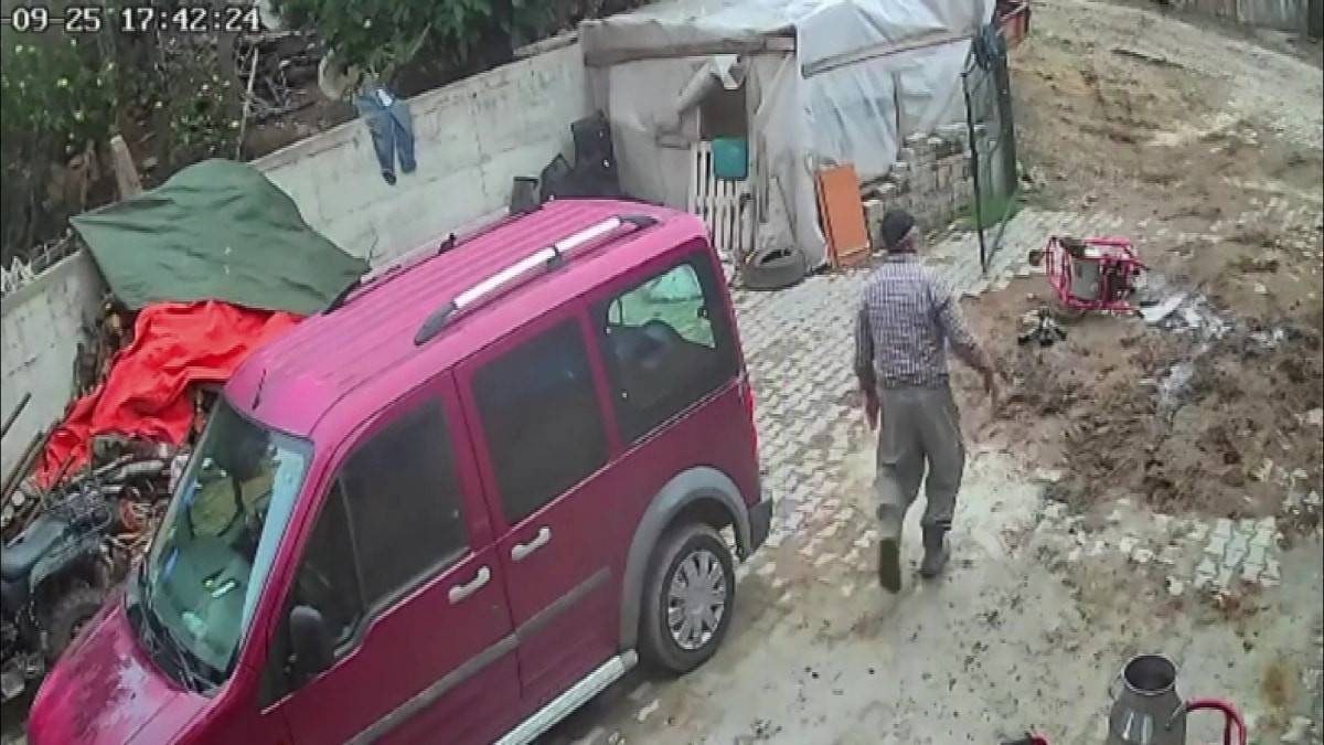 Amasya'da öfkeli boğanın cinnet anı: süt sağım makinesini sürükledi