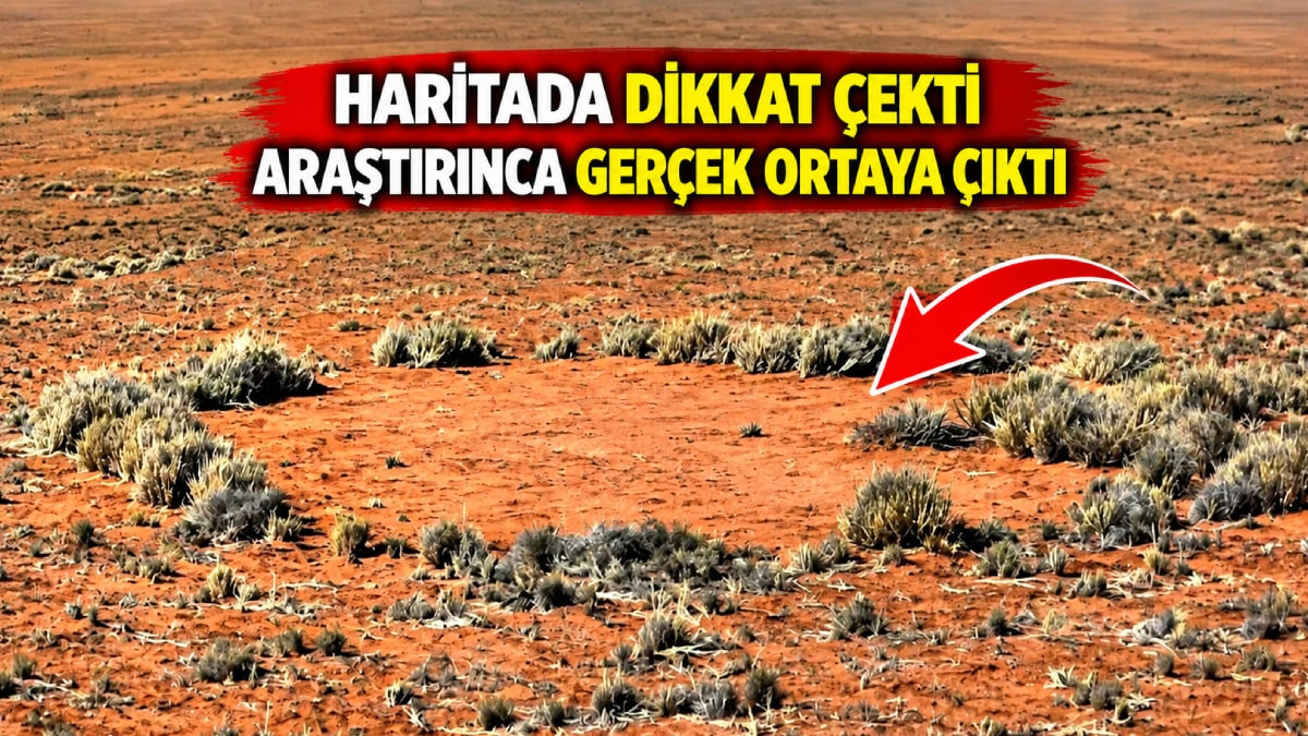 Haritada tesadüfen fark edildi: Yüzeydeki gizemli halkaların sebebi bakın ne çıktı