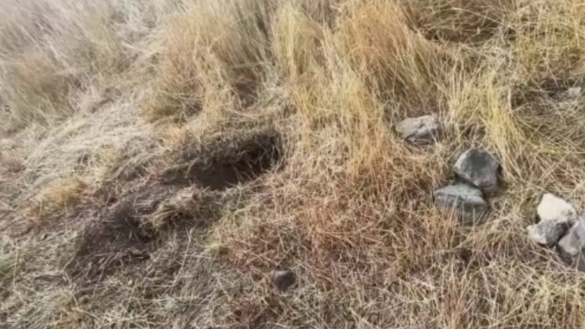 Kars'ta yeni doğan bebeğin ölümüyle ilgili anne ve anneanne tutuklandı
