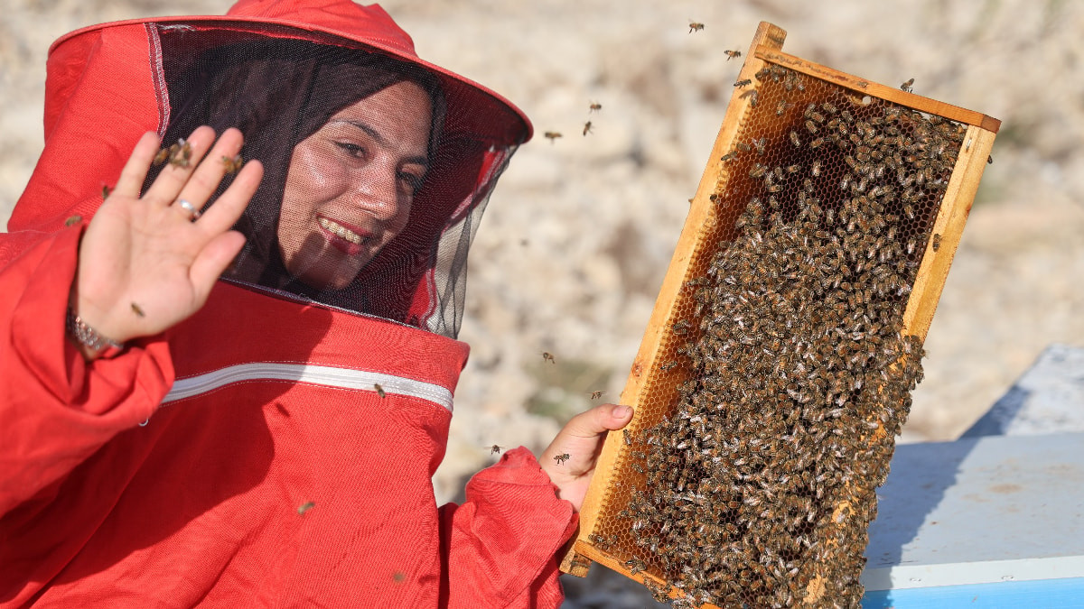 Adanalı genç girişimci, 250 kovanla başladığı arıcılıkta bine ulaştı