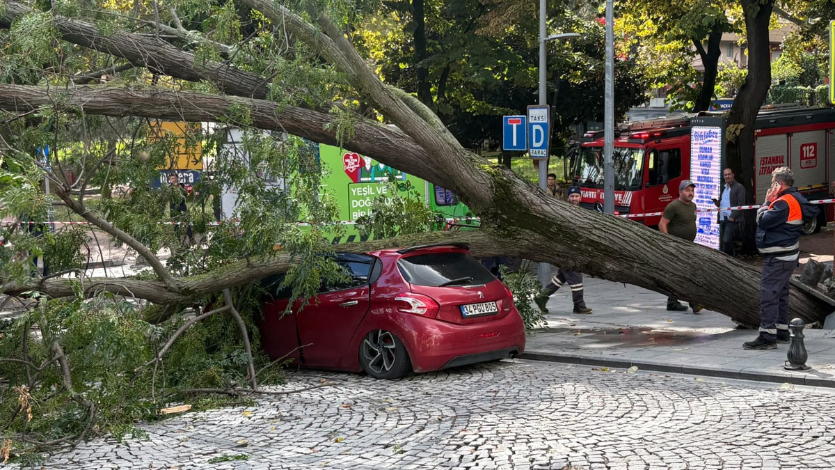 Şişli’de park halindeki otomobilin üzerine ağaç devrildi