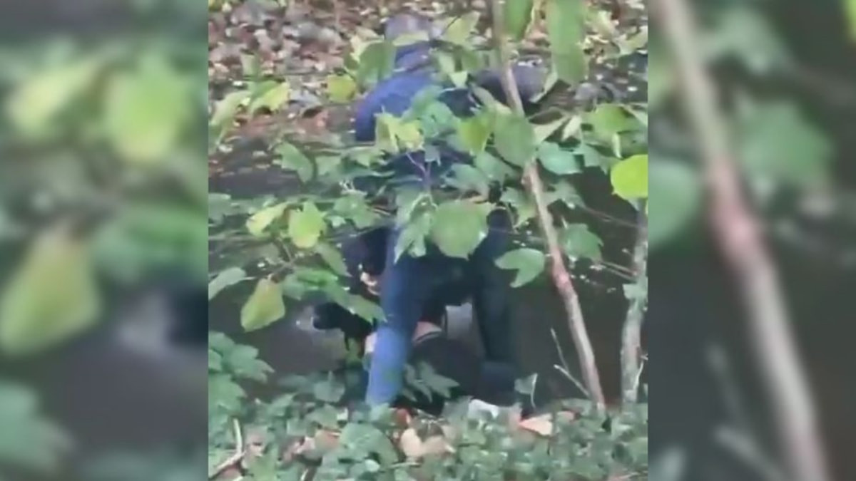 Fransa'da polisin bir genci nehirde boğmaya çalıştığı iddiasına soruşturma