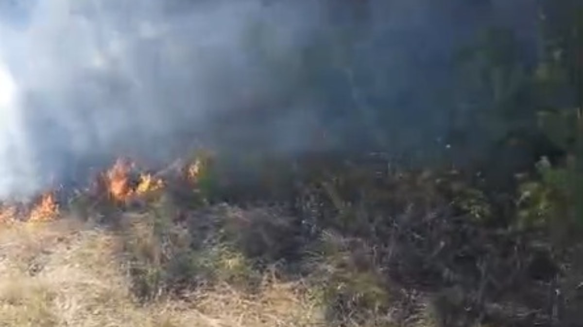Bolu'da anız yangınında alevler ormana sıçradı