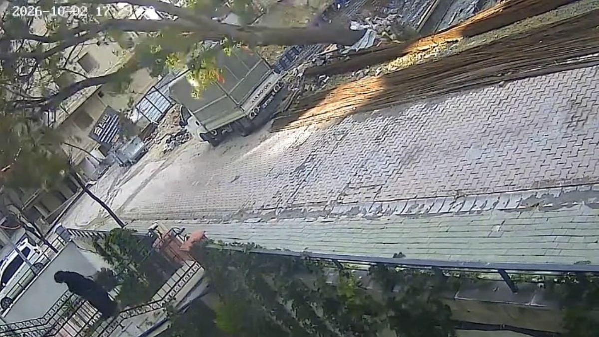 İstanbul'da devrilen ağacın altında kalmaktan kıl payı kurtuldu