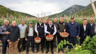 Bilecik'te sofralık ve salçalık domates mesaisi sürüyor