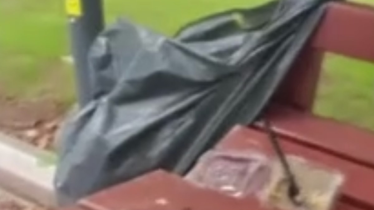 Eskişehir'de parkı tahrip ettiler: Vatandaş videoya alıp tepki gösterdi