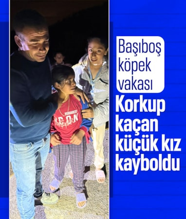 Mardin'de başıboş köpekten korkan küçük kız gece bulundu