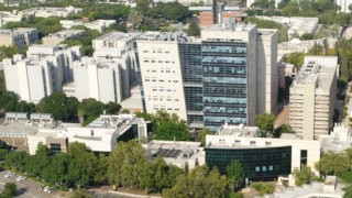 İsrailli bir matematik profesörünün 700 Filistinliyi öldürmeyi hedefleyen örgüt kurma planı ortaya çıktı