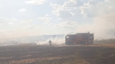 Denizli'de tarım arazisinde yangın çıktı: Ekiplerin müdahalesiyle söndürüldü
