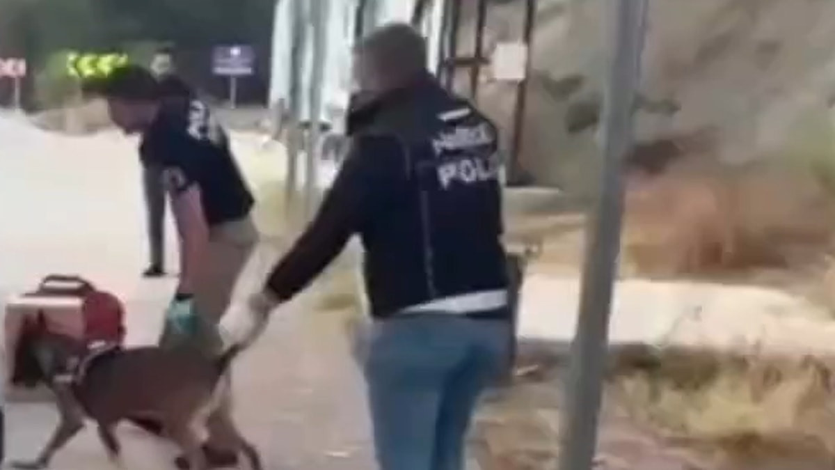 Sinop'ta uyuşturucu operasyonu: 3 tutuklama